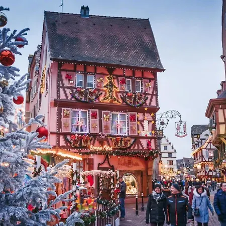 Cosy Studio Centre Strasbourg Exterior photo