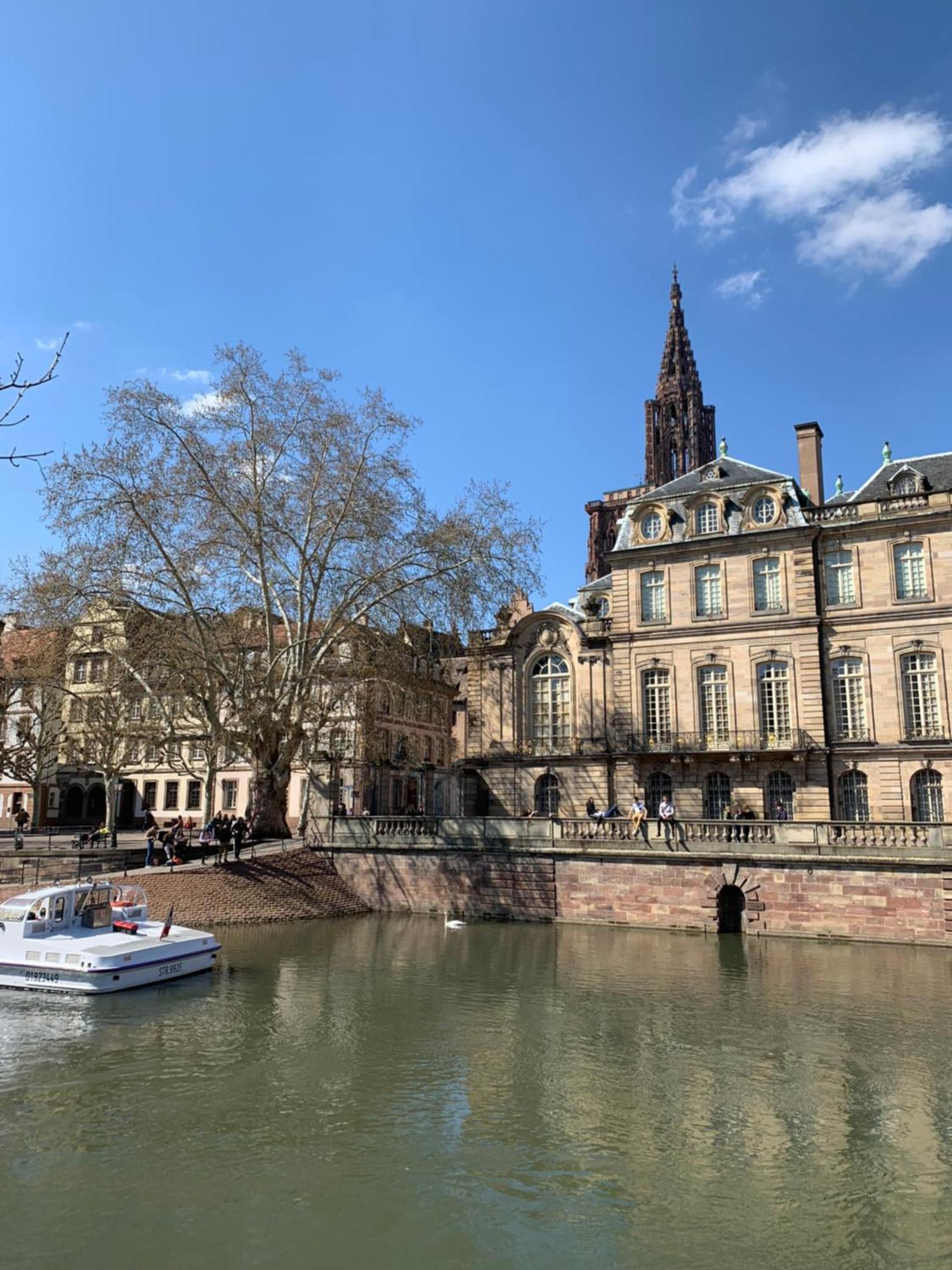 Cosy Centre Apartment Strasbourg